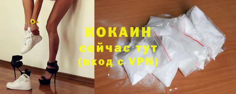 Cocaine Эквадор  как найти закладки  Шагонар 